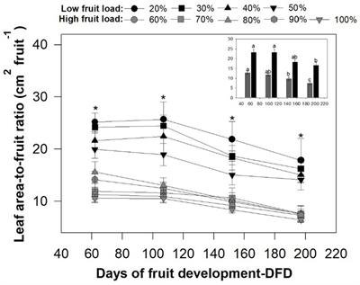 Increased fruit load influences vegetative growth, dry mass partitioning, and bean quality attributes in full-sun coffee cultivation